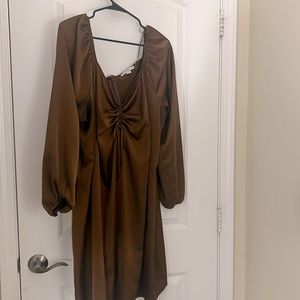 And Now This Brown Satin Dress 3X